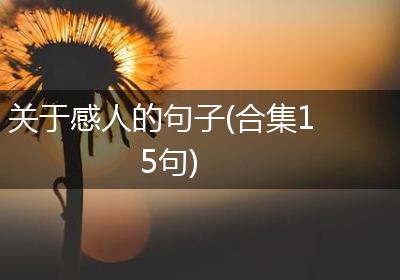关于感人的句子(合集15句)