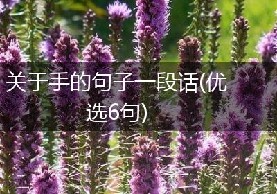 关于手的句子一段话(优选6句)