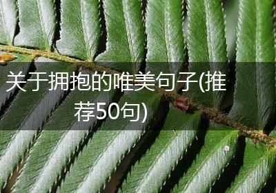 关于拥抱的唯美句子(推荐50句)