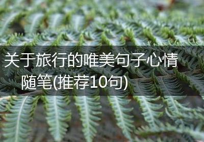 关于旅行的唯美句子心情随笔(推荐10句)