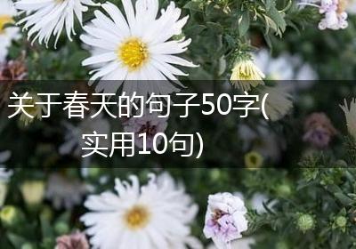 关于春天的句子50字(实用10句)