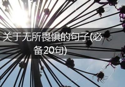 关于无所畏惧的句子(必备20句)