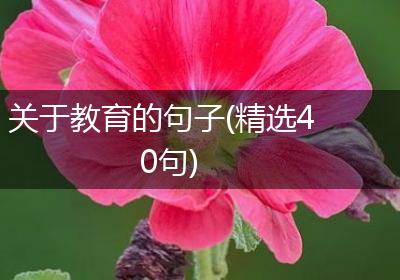 关于教育的句子(精选40句)