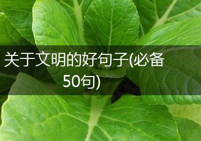 关于文明的好句子(必备50句)