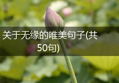 关于无缘的唯美句子(共50句)