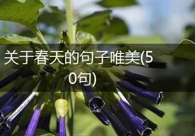 关于春天的句子唯美(50句)
