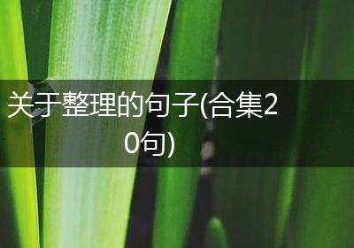 关于整理的句子(合集20句)