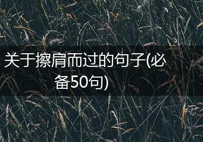 关于擦肩而过的句子(必备50句)
