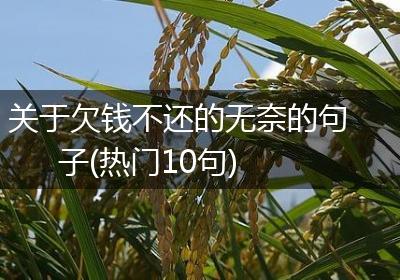 关于欠钱不还的无奈的句子(热门10句)