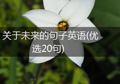 关于未来的句子英语(优选20句)