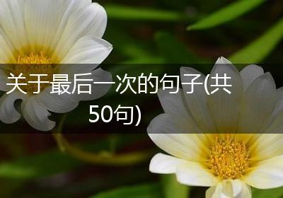 关于最后一次的句子(共50句)
