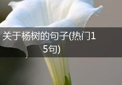 关于杨树的句子(热门15句)