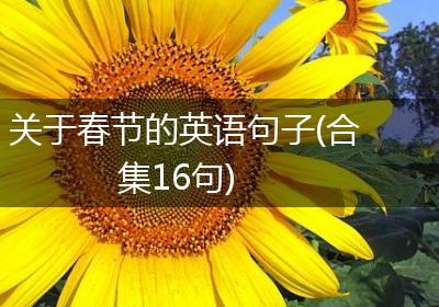 关于春节的英语句子(合集16句)