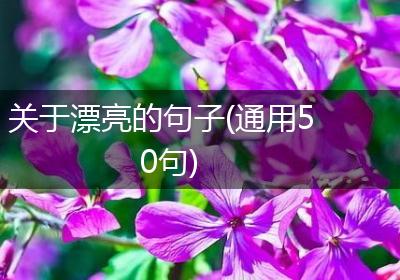关于漂亮的句子(通用50句)