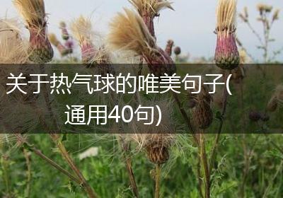 关于热气球的唯美句子(通用40句)