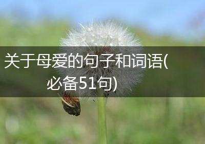 关于母爱的句子和词语(必备51句)