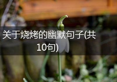 关于烧烤的幽默句子(共10句)