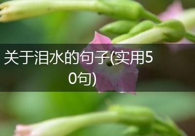 关于泪水的句子(实用50句)
