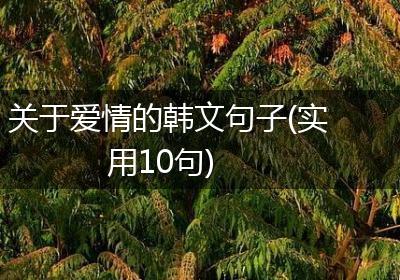 关于爱情的韩文句子(实用10句)