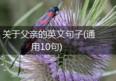 关于父亲的英文句子(通用10句)