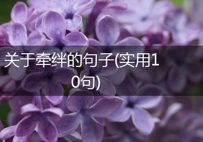 关于牵绊的句子(实用10句)