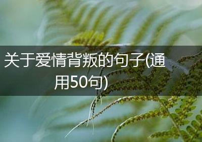 关于爱情背叛的句子(通用50句)