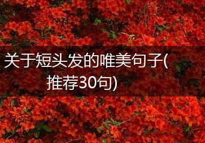 关于短头发的唯美句子(推荐30句)