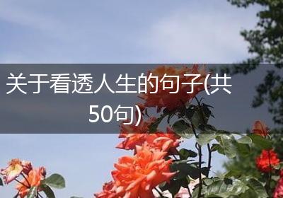 关于看透人生的句子(共50句)