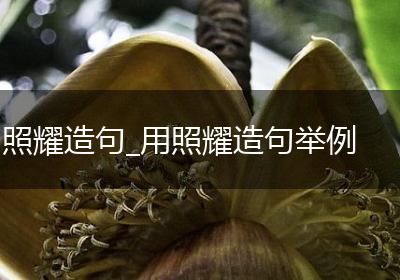 照耀造句_用照耀造句举例