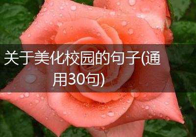 关于美化校园的句子(通用30句)
