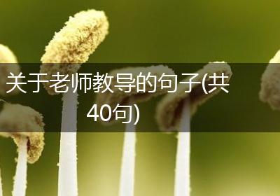 关于老师教导的句子(共40句)