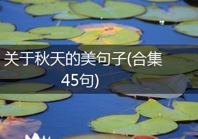 关于秋天的美句子(合集45句)