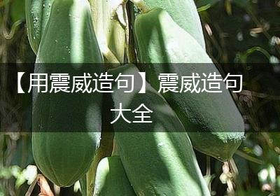 【用震威造句】震威造句大全