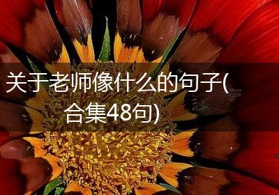 关于老师像什么的句子(合集48句)