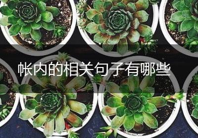 帐内的相关句子有哪些