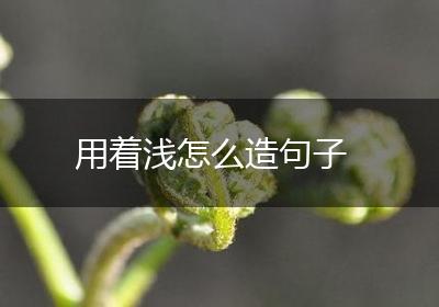 用着浅怎么造句子