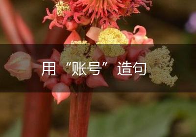 用“账号”造句