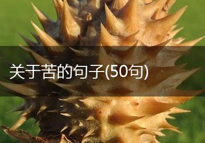 关于苦的句子(50句)