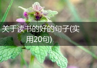 关于读书的好的句子(实用20句)