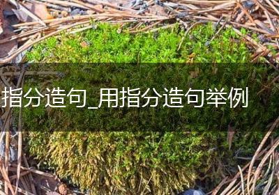 指分造句_用指分造句举例