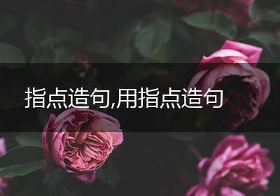 指点造句,用指点造句