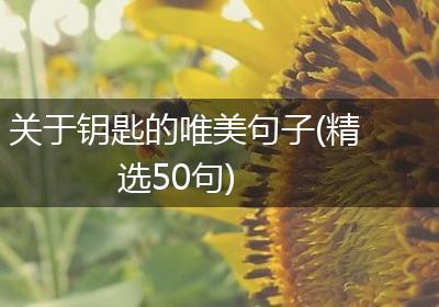 关于钥匙的唯美句子(精选50句)