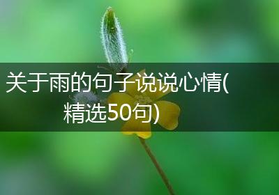 关于雨的句子说说心情(精选50句)