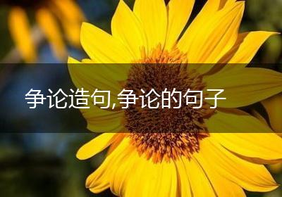 争论造句,争论的句子