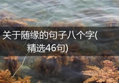 关于随缘的句子八个字(精选46句)
