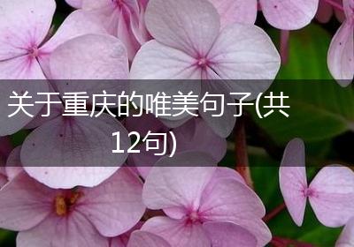 关于重庆的唯美句子(共12句)