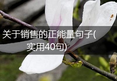 关于销售的正能量句子(实用40句)