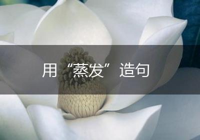 用“蒸发”造句