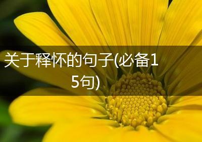 关于释怀的句子(必备15句)