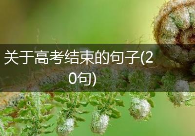 关于高考结束的句子(20句)